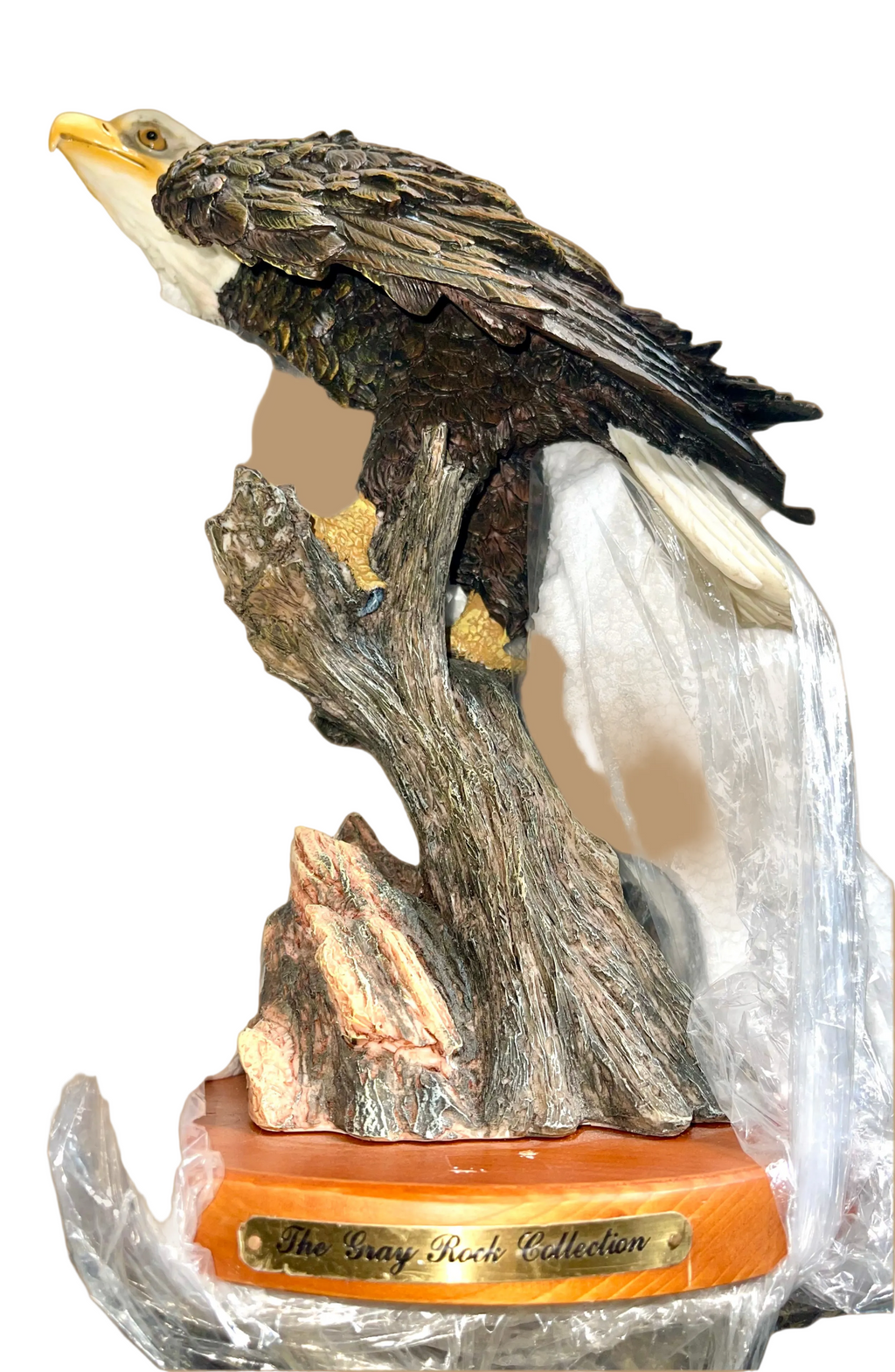 ￼Eagle sitting on the branch 