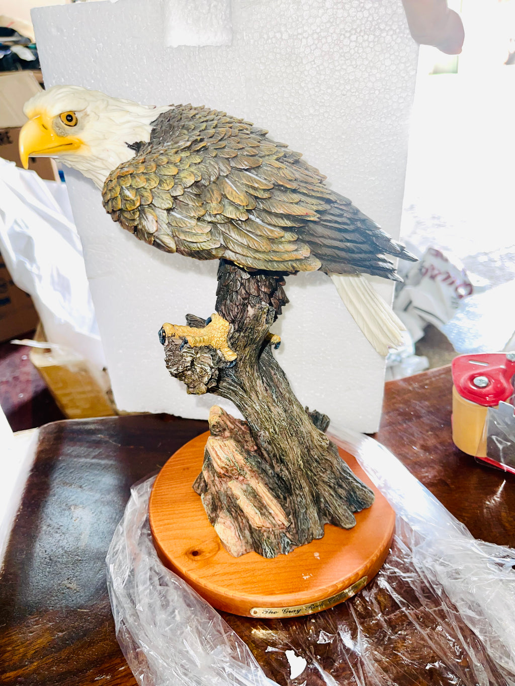 Eagle sitting on a branch