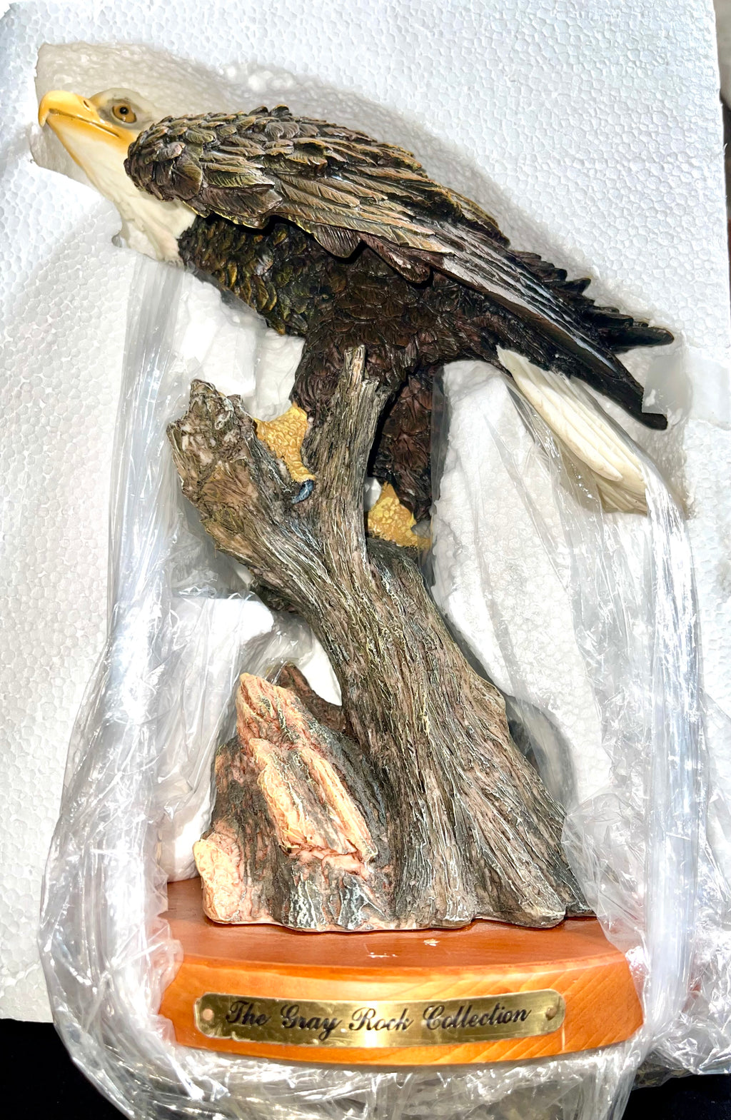 Eagle sitting on a branch